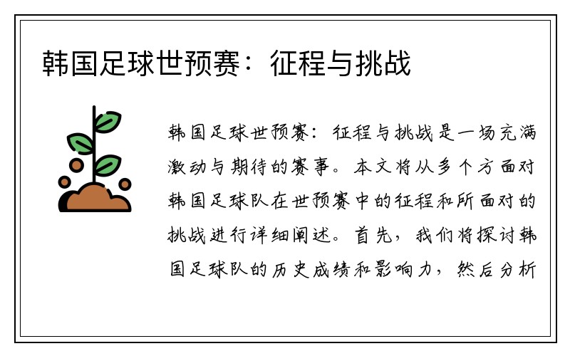 韩国足球世预赛：征程与挑战