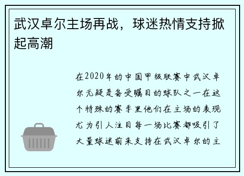 武汉卓尔主场再战，球迷热情支持掀起高潮